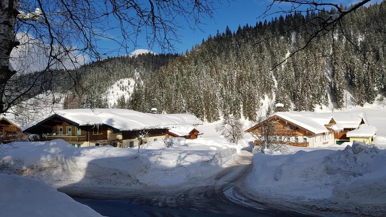 Bauernhof Krahlehenhof Villa Filzmoos Luaran gambar