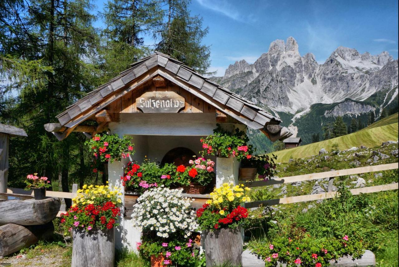 Bauernhof Krahlehenhof Villa Filzmoos Luaran gambar