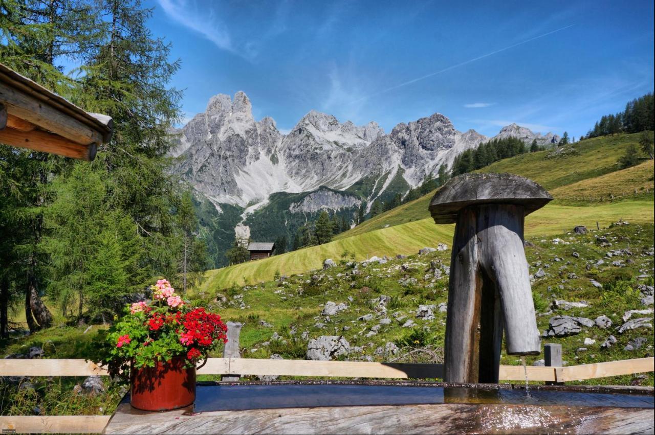 Bauernhof Krahlehenhof Villa Filzmoos Luaran gambar